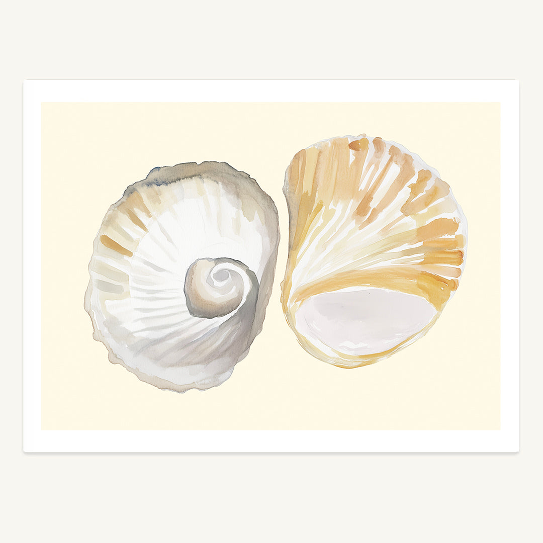 Watercolour Seashells Print
