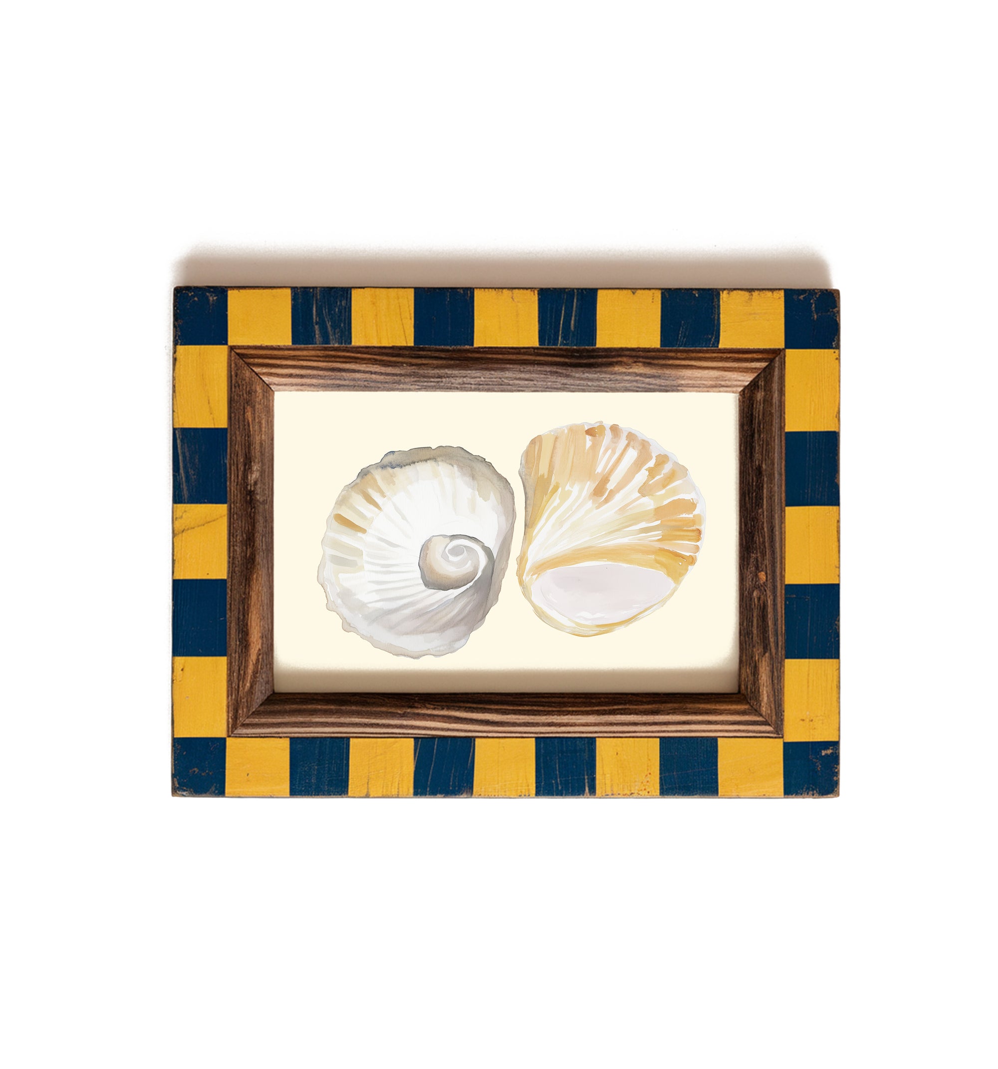 Watercolour Seashells Print