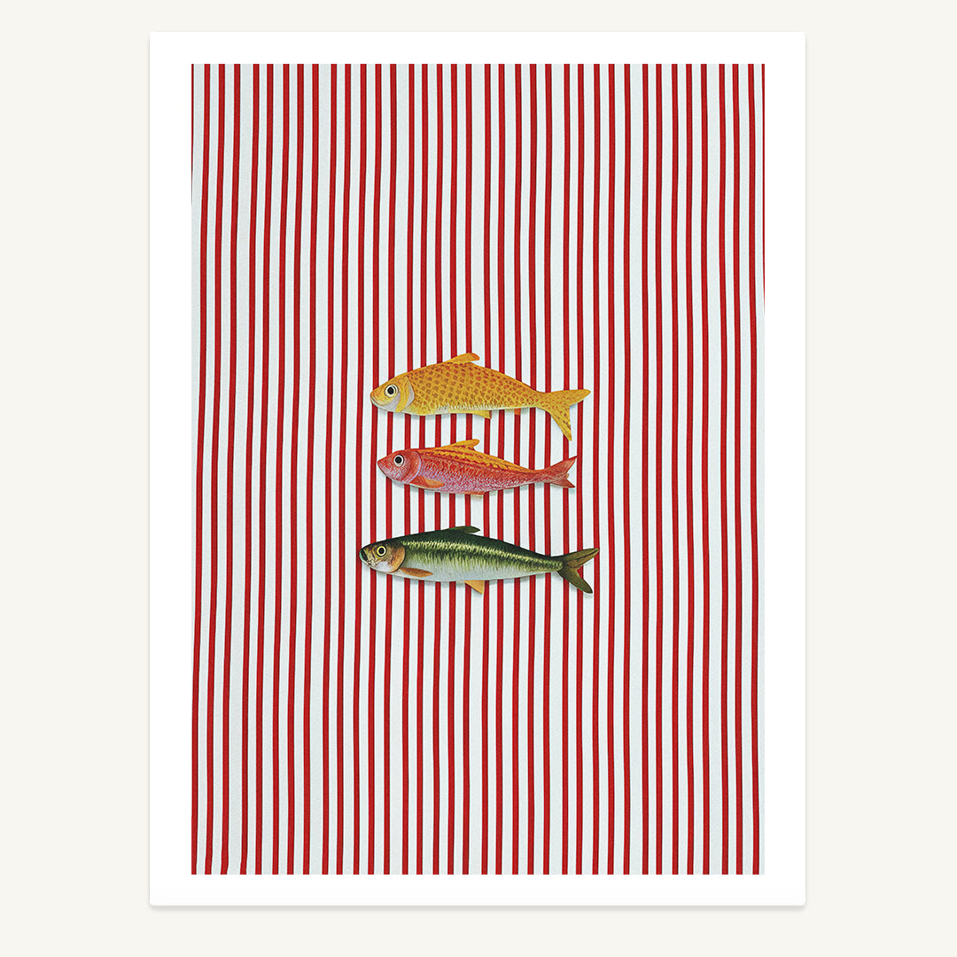 Three Stripped Fish Print